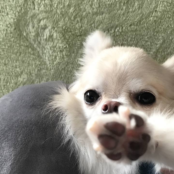 44999bfa d99f 40eb afdc 155e61c0acc8