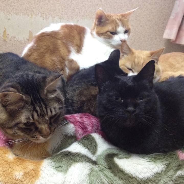 4499b376 0471 46a8 b367 ce8630250b64