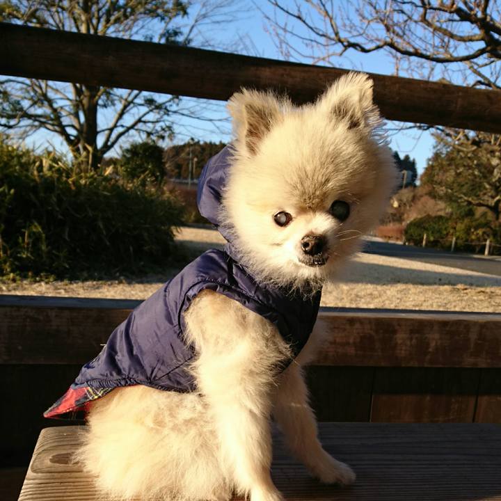 449a173a f1ad 4ceb 8bf8 57d3a9f6e924