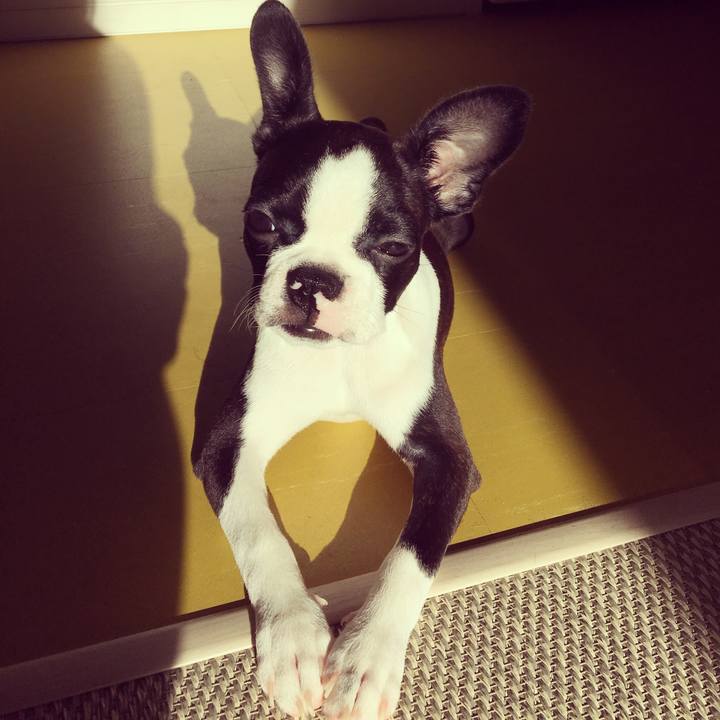 449bc74f 10ed 4422 aaea 4f49e4403757