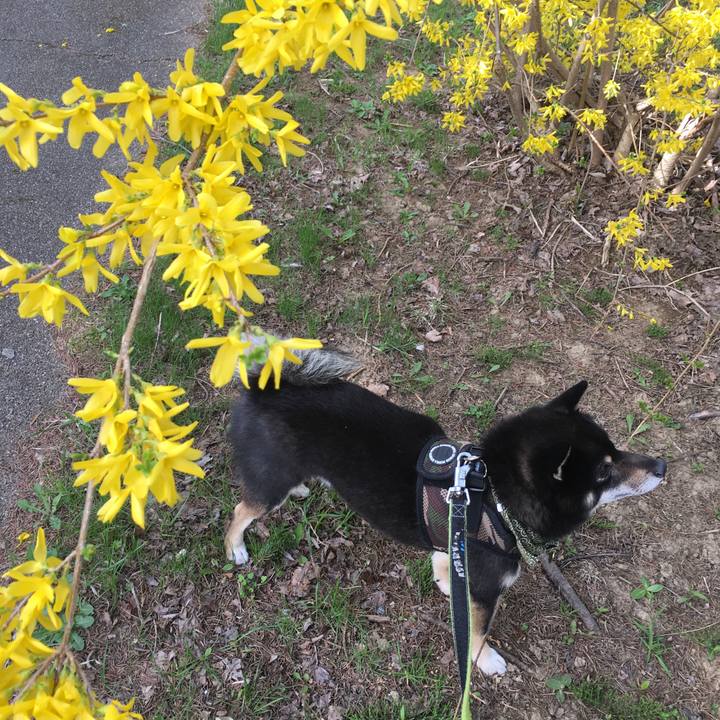 449c47f7 e048 4403 a29e d96f3ffd82e0