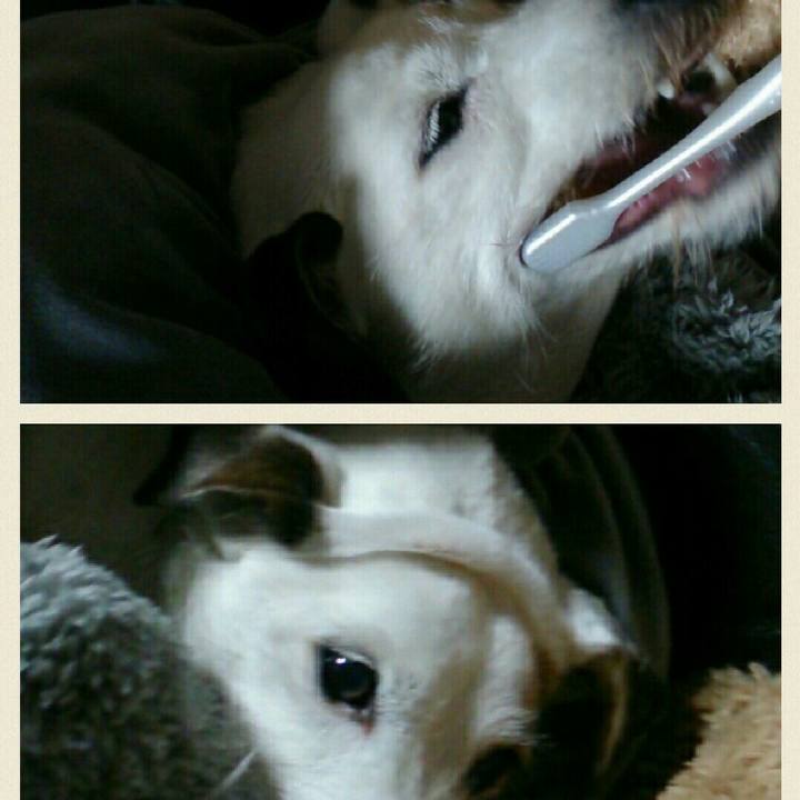 449d61f0 a496 4b93 b58a e88e11794d48