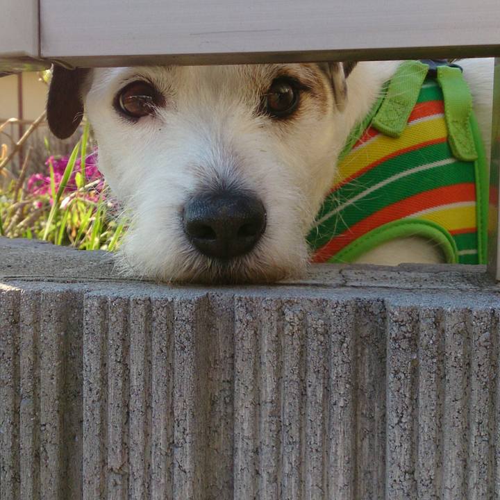 449d8332 9ee3 43bf bef4 9bbaef2278ce