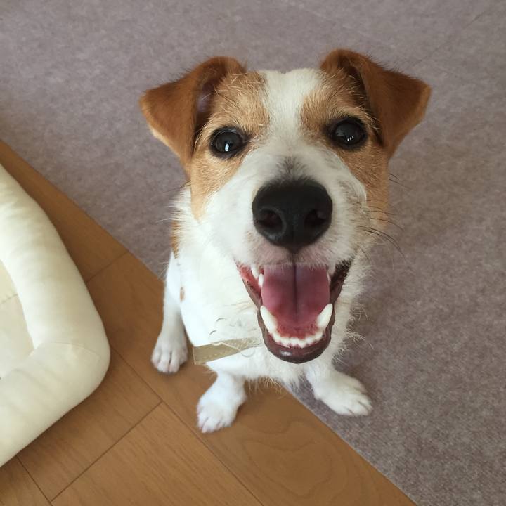 449ec874 125d 447d a740 49444bd71389