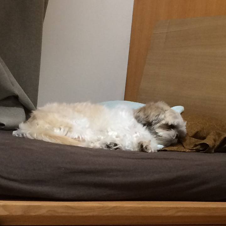 449ef5e6 1683 42b9 aa69 89feec2776aa