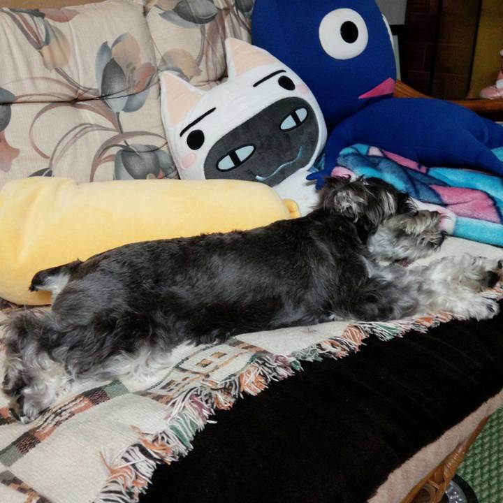 44a09d77 31a1 40ae b39b 7465b345400e