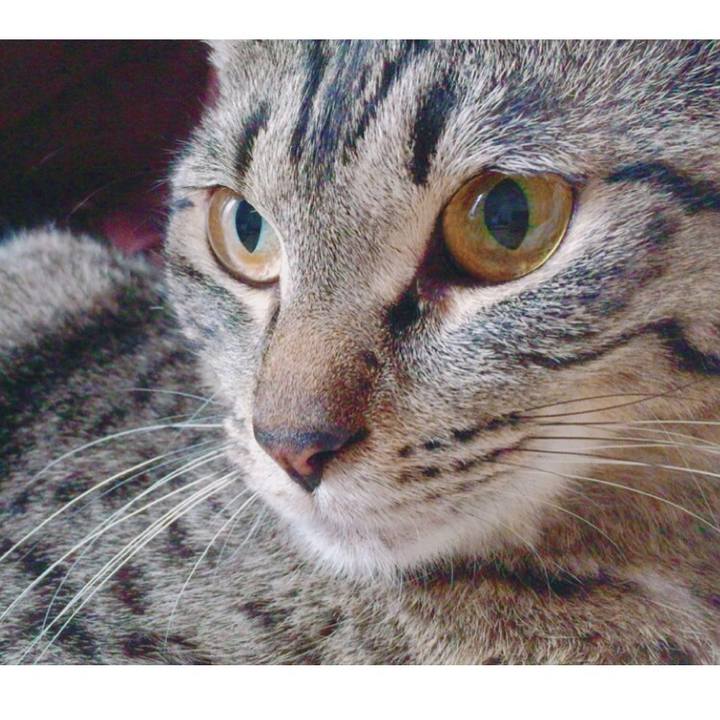 44a171f2 ef3f 41eb a50a c043aa2d69fc