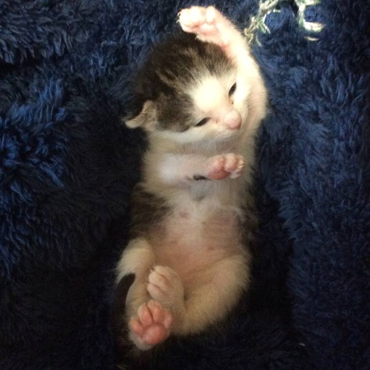 44a23714 7ba7 43e7 b62f a709089859fc