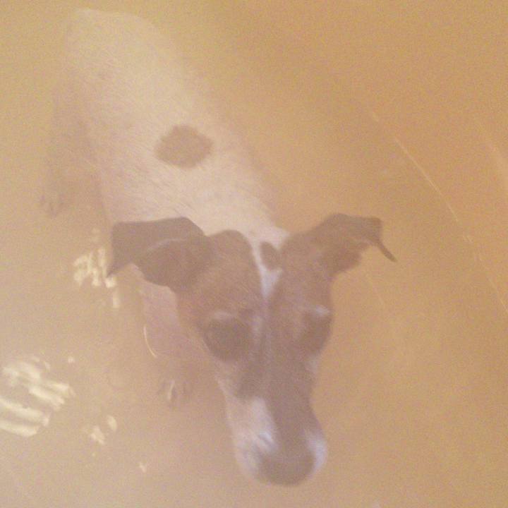 44a28d00 431f 4c97 adba 8356e697f3cf