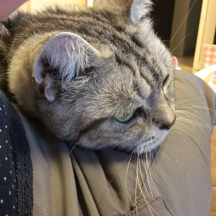 44a3017f 70d4 48b0 b2fe 437c72c84637