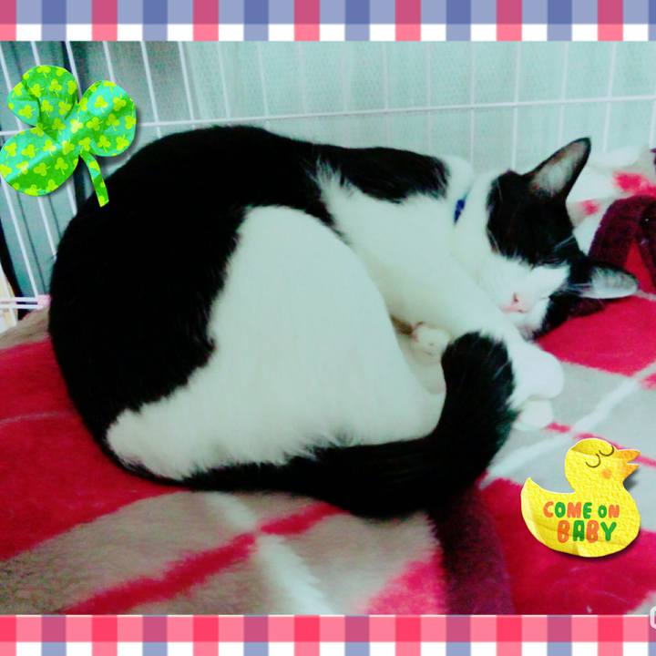 44a442d3 86c2 4af1 b20c 921c07c759a5