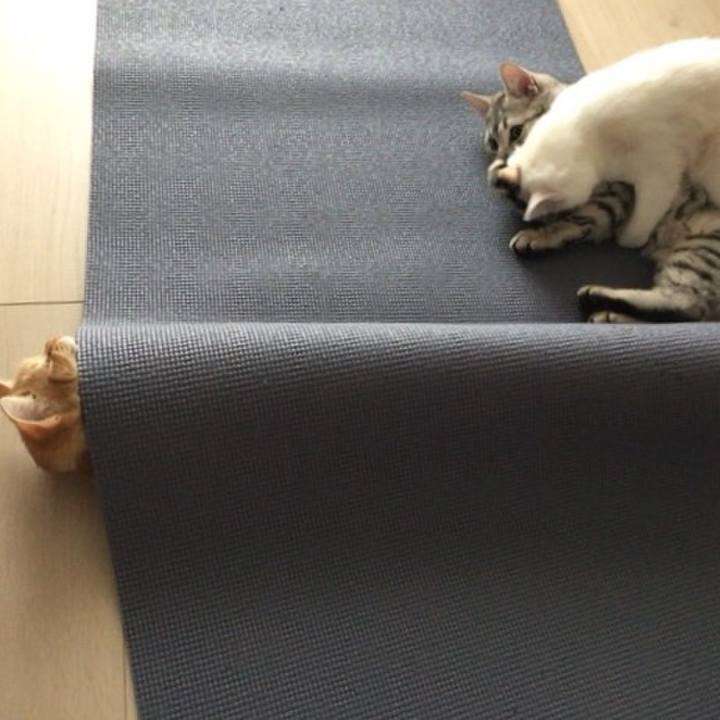 44a4b66a c3a5 4ab4 a507 6c8cd9141ee2