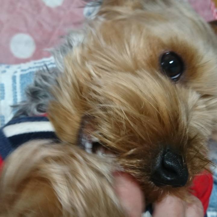 44a4c907 fd28 41f0 b3f7 d29576988e70