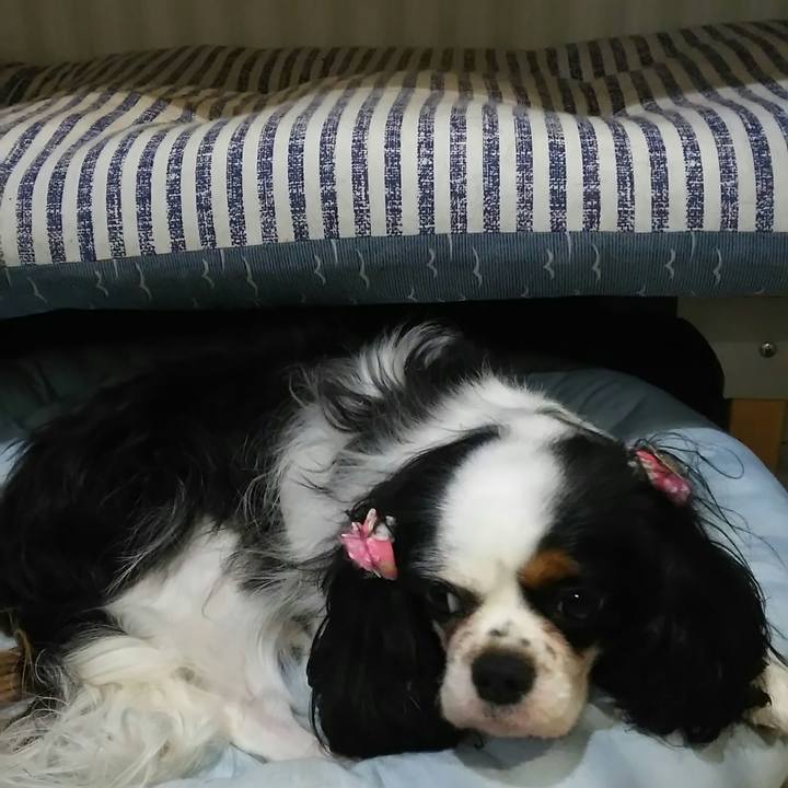 44a533ed 7774 4c1e a2a8 1fff49e13fa7