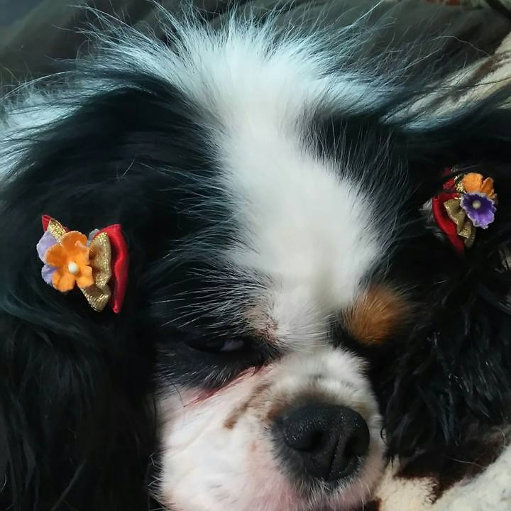 44a5aeb7 659d 4c37 a85a c6de6d93a3c9