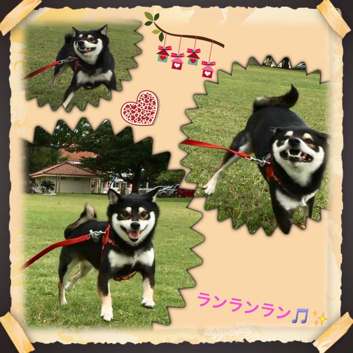 44a5d79e a4c7 4a4b b058 b6dbd5b9f297