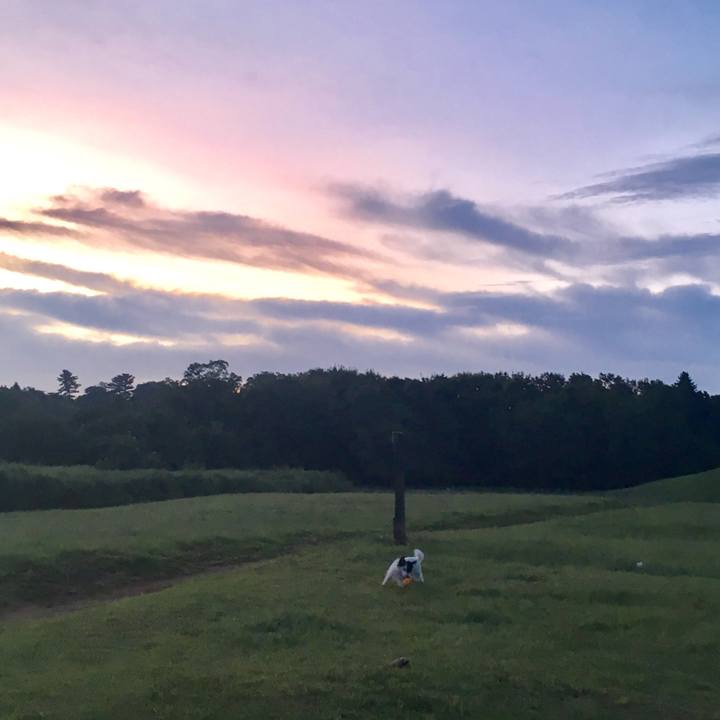 44a60c2f 5ec0 400a a413 eade0653b0de