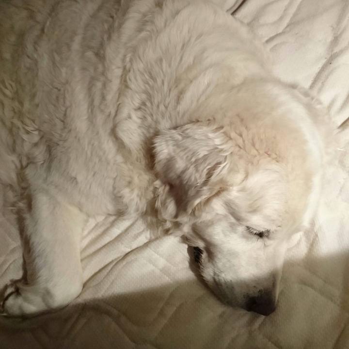 44a63de6 140c 4f3f 8dae 237efc5d7c36