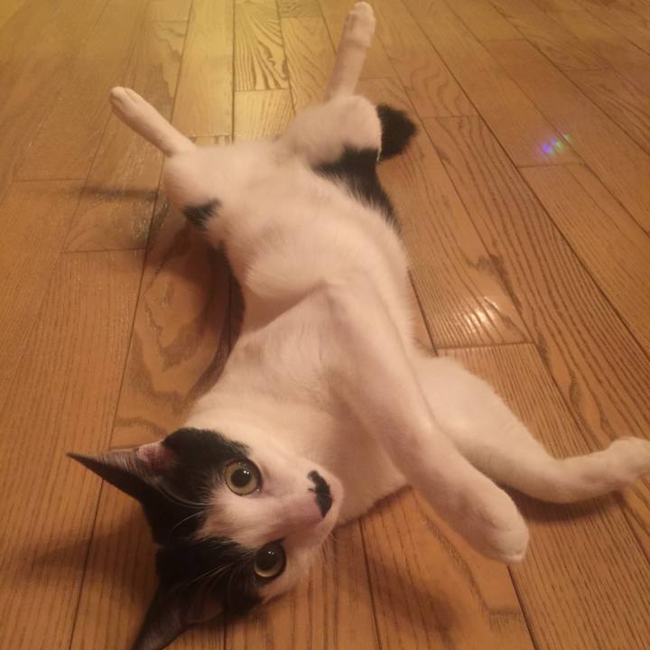 44a64b74 e74e 484e a7d2 6c23fe30af92