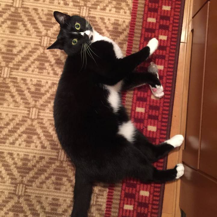 44a69bcc 0ad7 4096 8b5a 1d3288b367fb