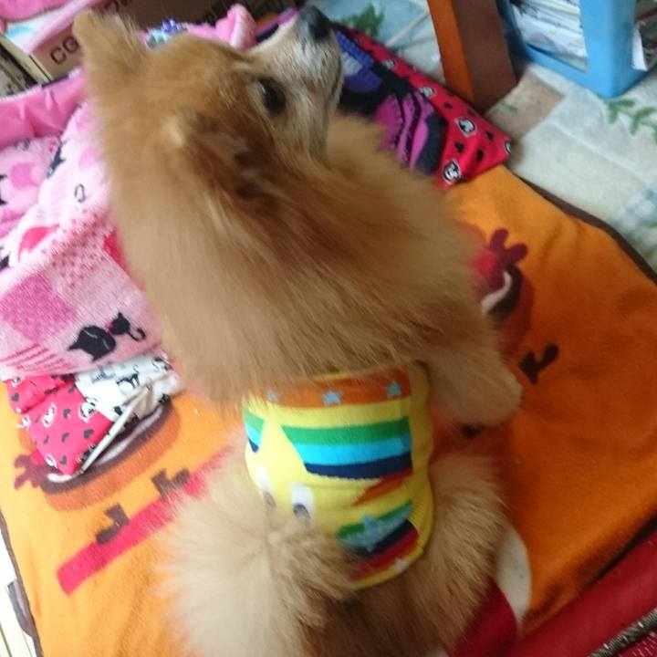 44a6ebc1 095f 44a7 be3d b97ddcfd4c1c