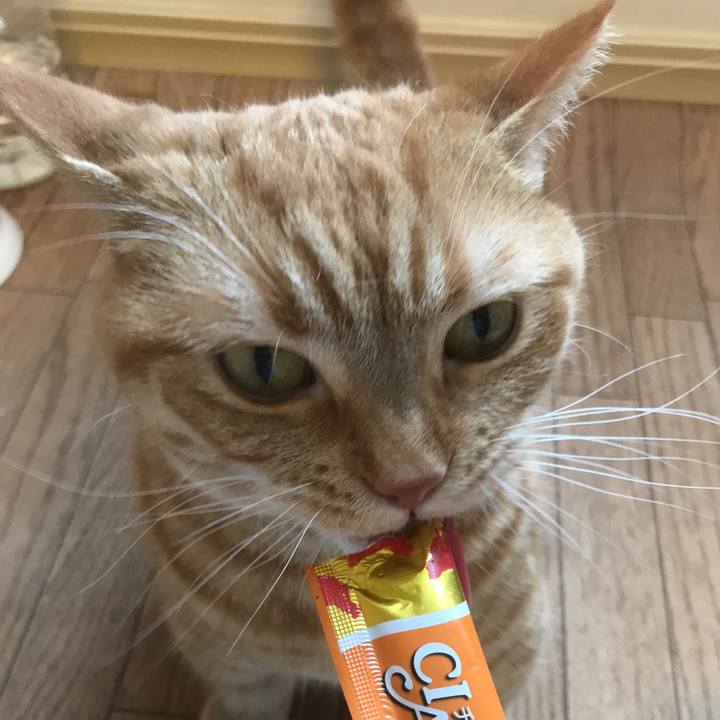 44a76578 7b97 4a25 938b dadc2ba480f4