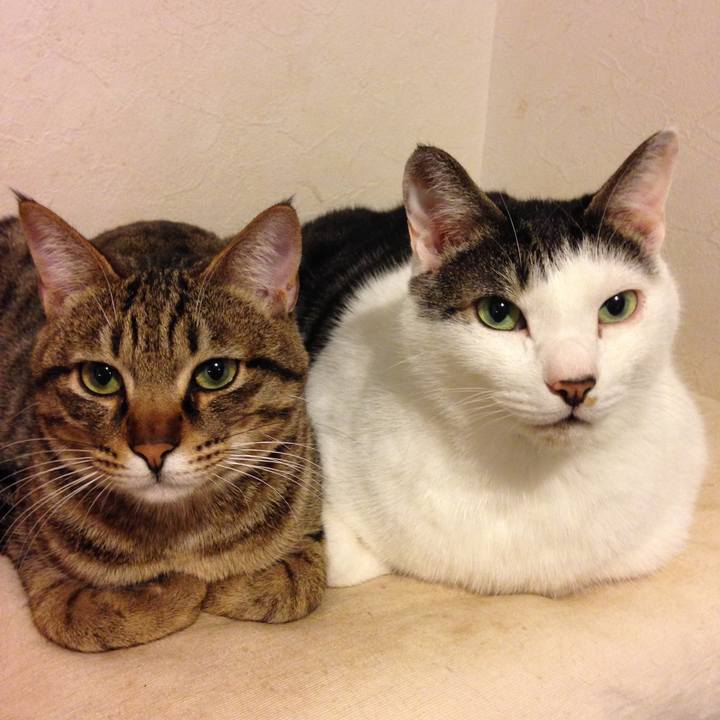 44a76f17 47b7 4c89 9b08 f16630fb5157