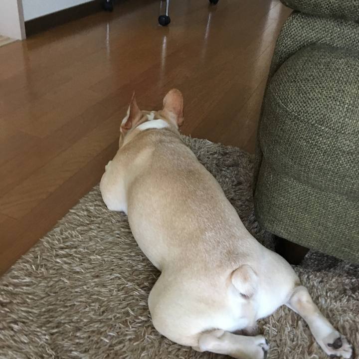 44a823b1 c5c2 4f0e 892f b7bbbdca1a89