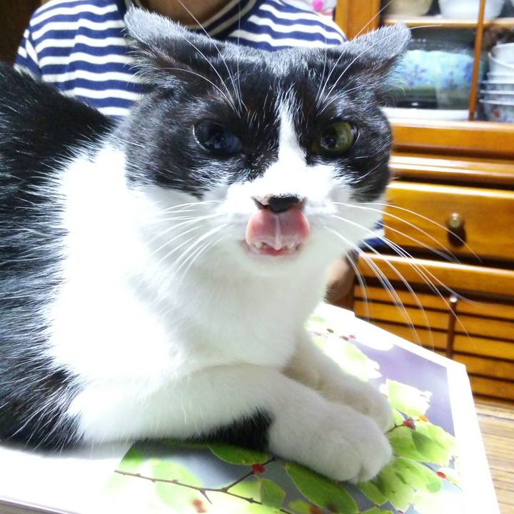 44a9a8e9 baa9 4a2c a5ef e4205f30a8ad