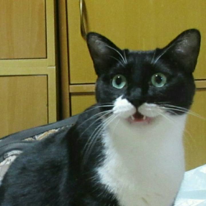 44aa2f58 54a5 40aa 8fe2 7dff4365b606