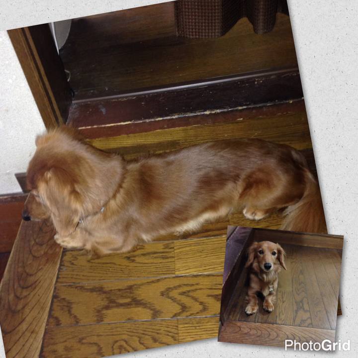 44aaeea7 9067 4453 b528 32506130dbdc