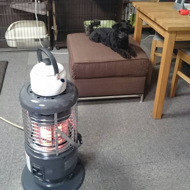 44ab3894 19ea 4d91 a0d6 c75a006f14a3