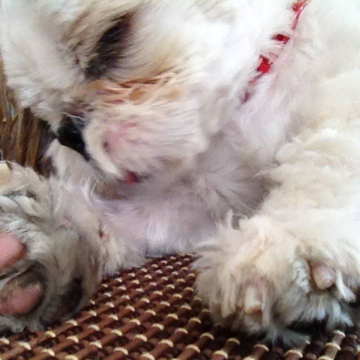 44abcdd4 10e8 4296 af76 52992e72d1ce