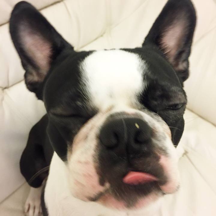 44ac2a31 7c1a 4e3d bc85 a5b25934fd2b