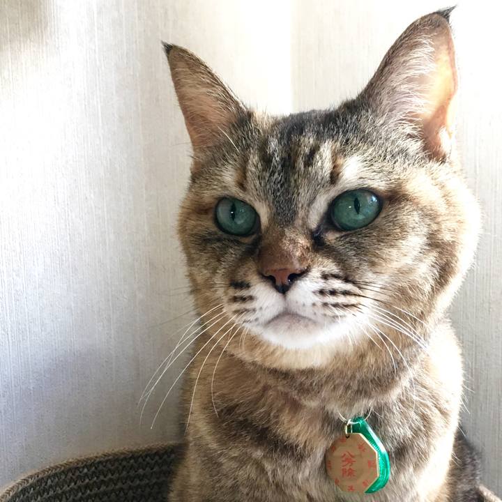 44ac4d34 55ea 4753 a4a0 8c91aaa12360