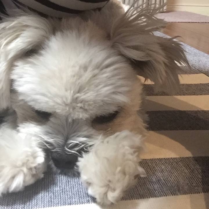 44acc4b7 97b2 4dc8 ab98 79904ed33b06