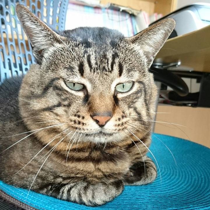 44ae2db3 ff57 4bef 91b4 0d927e8941a0