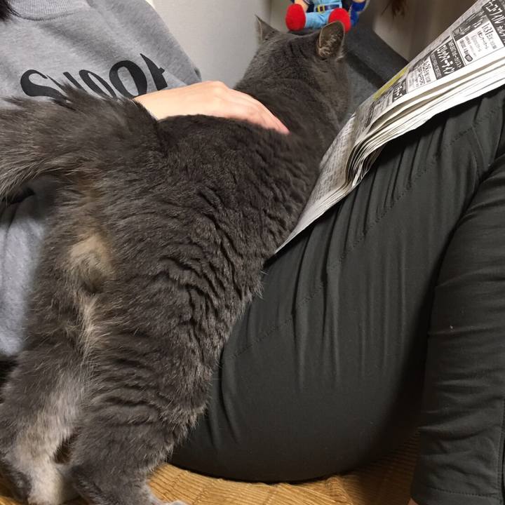 44ae45fa 54db 4a6c 9422 6500b9576427