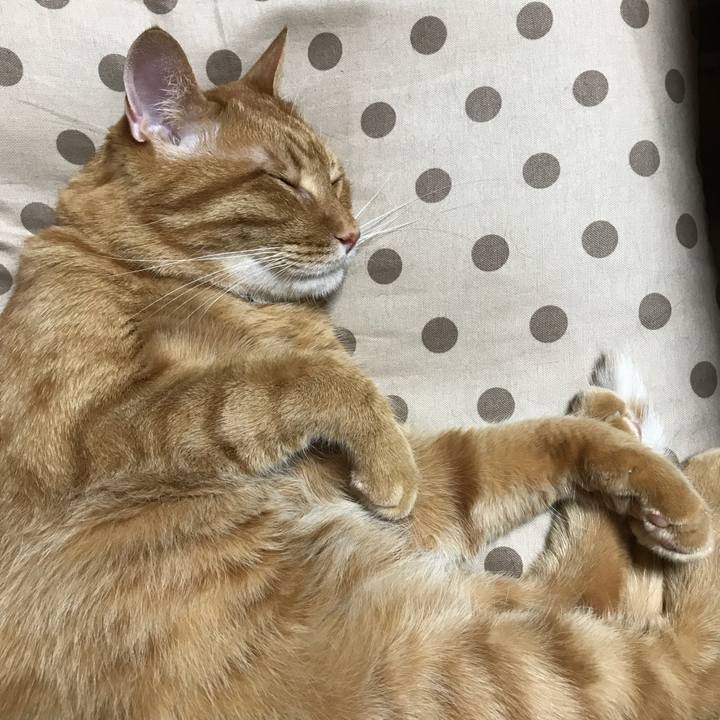 44ae88a6 0217 4fbb 8955 20f4d4ac924b