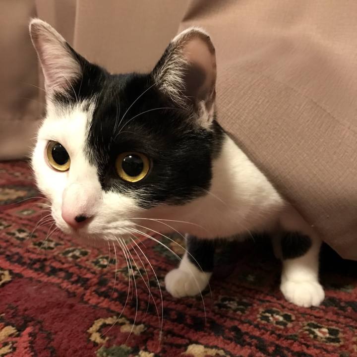 44af1956 a8b3 4215 ab98 df442dd4e663