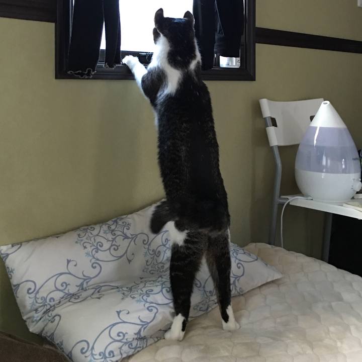 44af4b11 fb18 4bf8 afc5 978c18a1dfe5