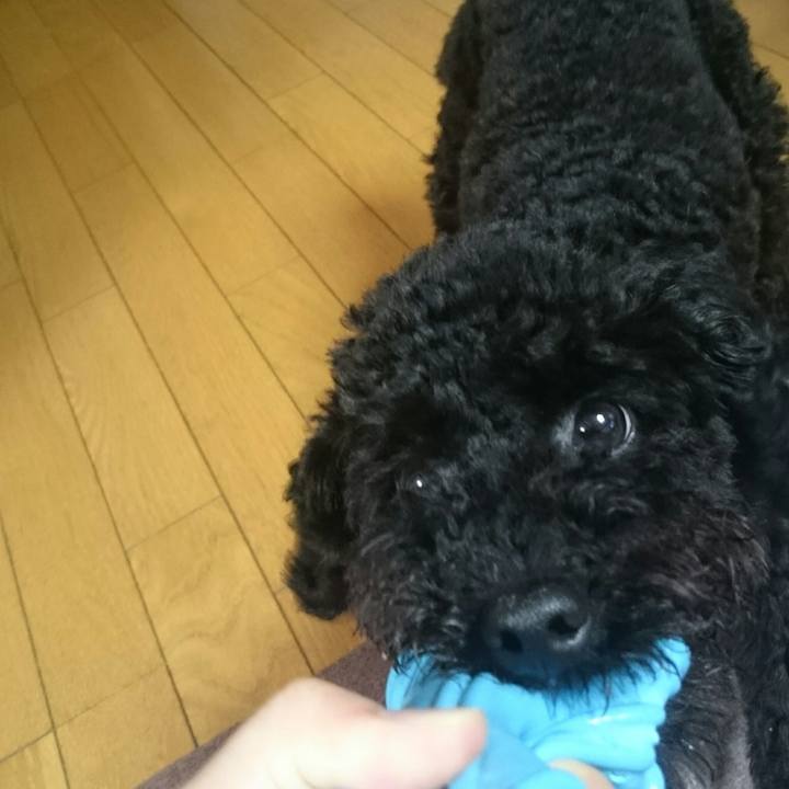 44afc14b 53f7 4ebc 8f41 6c78db18ed98