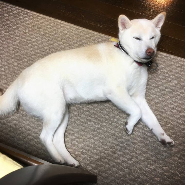 44afd394 b1e2 4d01 916c 72c4b005c1a4