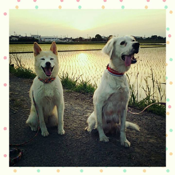 44b07d76 20d9 4da2 ac76 b0e8127bc7c0