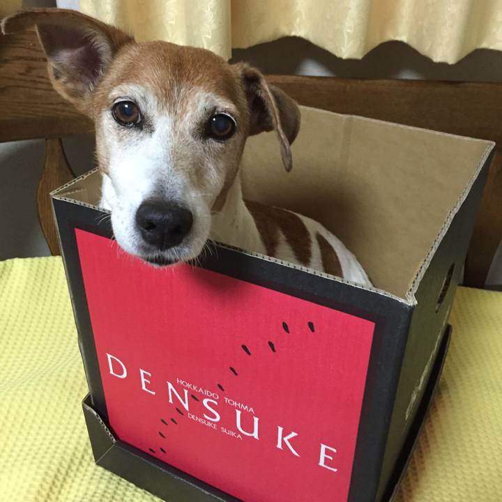 44b1c47a ef5b 4b42 804d 5faf60c1753c