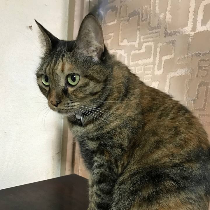 44b1ef7e c949 44cb 8b37 403bc4a02401