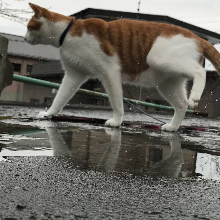 44b29724 1f01 48f4 84f7 aaf1a7dc82bf