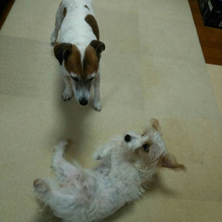 44b3adf3 779c 4d73 8fe7 dc91eff4c190