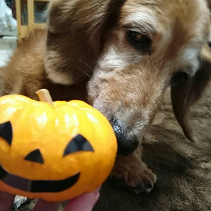 44b3d052 38cf 4b00 92d2 c4af594bbf0f