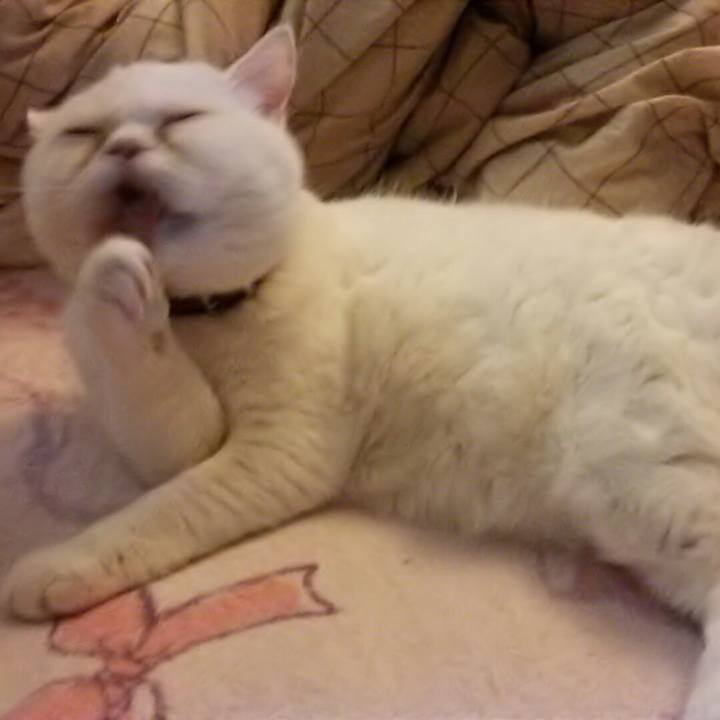 44b44577 a384 47fa b850 6df2513876e6